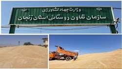 تابستان داغ زنجان با افزایش بیش از 100 درصدی برداشت گندم در مقایسه با سال قبل